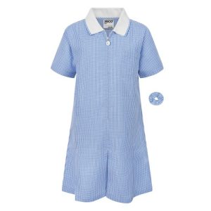 Blue/ White Check Summer Dress With White Collar