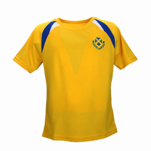 FINCHLEY CATHOLIC HIGH SPORTS T SHIRT
