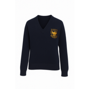 St John's N20 Navy V-Neck Jumper