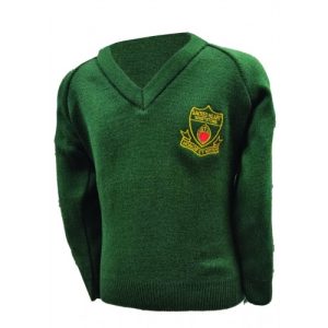 Sacred Heart Bottle (Green)  V-Neck Jumper