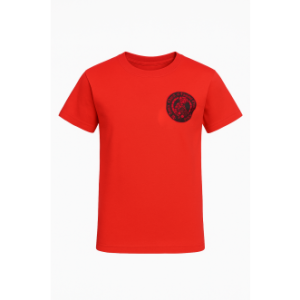 All Saint's Sport's T-Shirt ( Red)