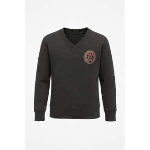 All Saint's V-Neck Sweatshirt