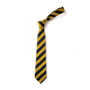 EMMANUEL STANDARD TIE